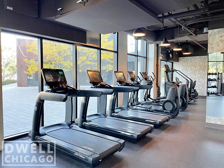 1453 S Blue Island Ave, Unit 433 in Chicago, IL - Building Photo
