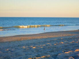 3150 N Atlantic Ave in Cocoa Beach, FL - Building Photo