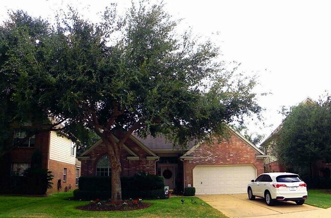 19639 Chestnut Brook Ct in Houston, TX - Building Photo - Building Photo