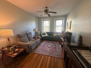 249 Chestnut Hill Ave in Boston, MA - Building Photo - Building Photo
