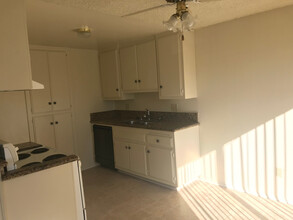 4471 Green Ave in Los Alamitos, CA - Building Photo - Building Photo