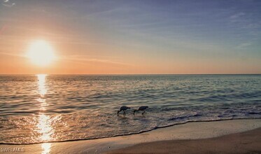 7818 Great Heron Way in Naples, FL - Building Photo - Building Photo