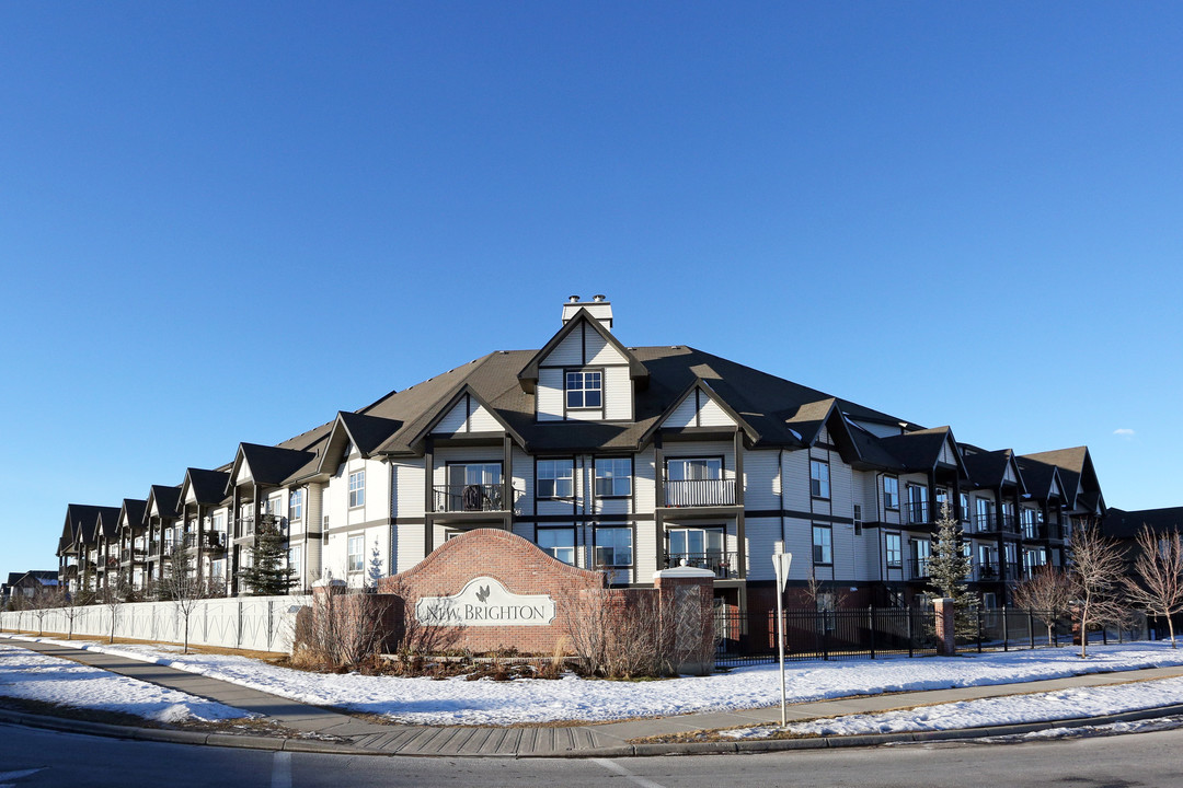 250 New Brighton Dr SE in Calgary, AB - Building Photo