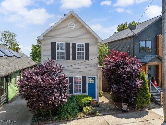 915 Fruit Ave in Cleveland, OH - Building Photo - Building Photo