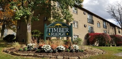 Timber Ridge Apartments in New Stanton, PA - Building Photo - Building Photo