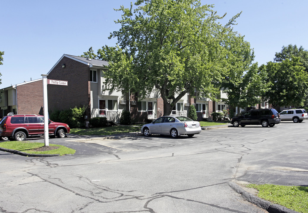 Redwood Terrace in Lowell, MA - Building Photo