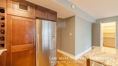 253 E Delaware Pl in Chicago, IL - Building Photo - Building Photo