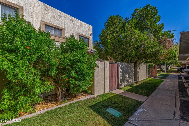 6124 N 79th St in Scottsdale, AZ - Building Photo - Building Photo