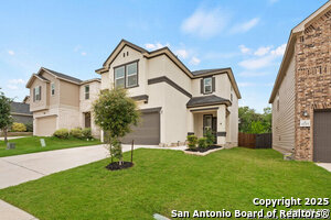 11719 Black Rose in San Antonio, TX - Building Photo - Building Photo
