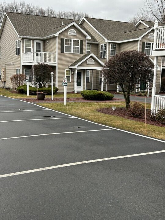 55 Elderberry Ct in Albany, NY - Building Photo