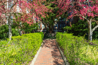 Peabody Court in Cambridge, MA - Building Photo - Building Photo