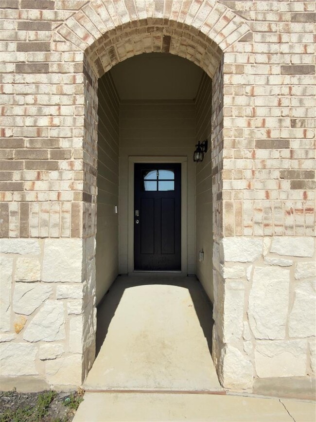 282 Texas Palmetto Cir in Kyle, TX - Building Photo - Building Photo