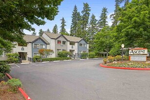 Ascent in Kirkland, WA - Building Photo
