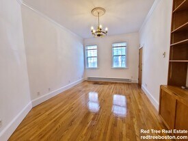 88 W Cedar St, Unit A in Boston, MA - Building Photo