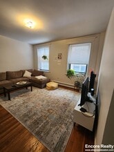 31 Stearns Rd in Brookline, MA - Building Photo - Building Photo