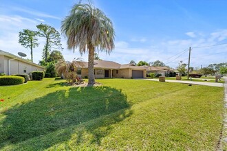 243 Westhampton Dr in Palm Coast, FL - Foto de edificio - Building Photo