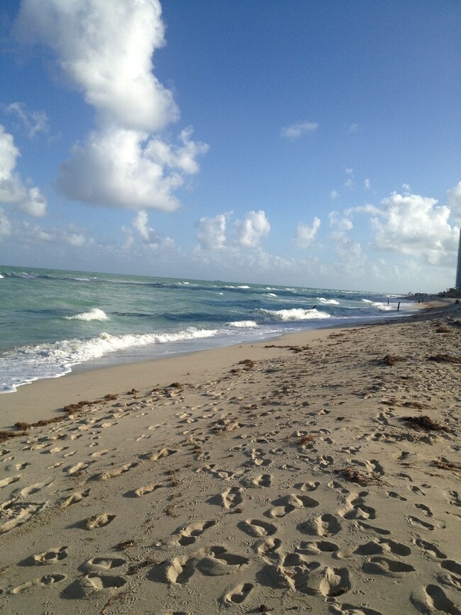 6800 Collins Ave, Unit 1400 in Miami Beach, FL - Building Photo - Building Photo