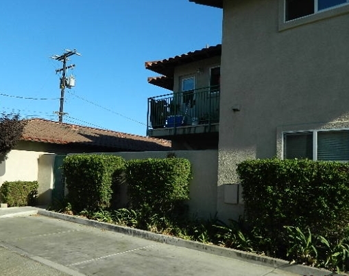 113 S Oak St in Santa Paula, CA - Building Photo - Building Photo