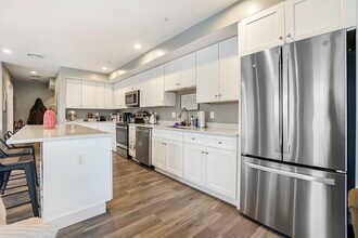 245 Bussey St in Dedham, MA - Building Photo - Building Photo