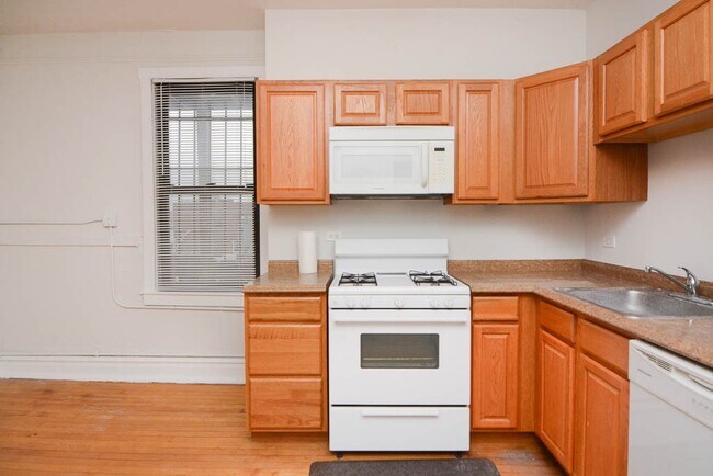 1009 N Sacramento Ave, Unit M04H in Chicago, IL - Building Photo - Building Photo