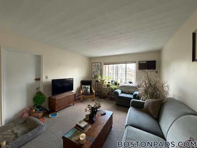 11 Allen St in Arlington, MA - Building Photo - Building Photo