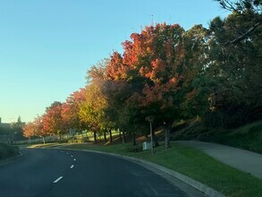 2033 Silvercrest Dr in Fairfield, CA - Building Photo - Building Photo