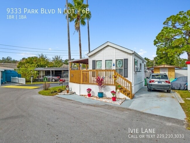 9333 Park Blvd in Seminole, FL - Building Photo - Building Photo