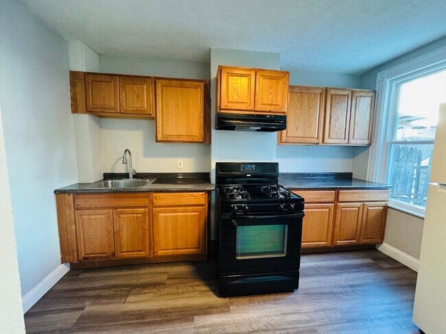 234 Cypress St, Unit 1 in Brookline, MA - Building Photo - Building Photo