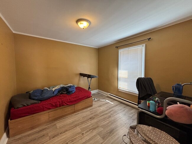 257 Argyle St in Fredericton, NB - Building Photo - Building Photo