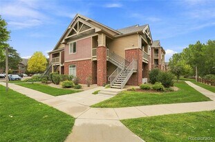 804 Summer Hawk Dr in Longmont, CO - Building Photo