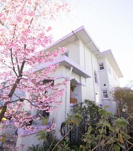 3148 College Ave in Berkeley, CA - Building Photo - Building Photo