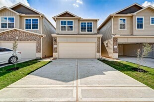 17135 Wilthorne Colony Ct in Houston, TX - Building Photo