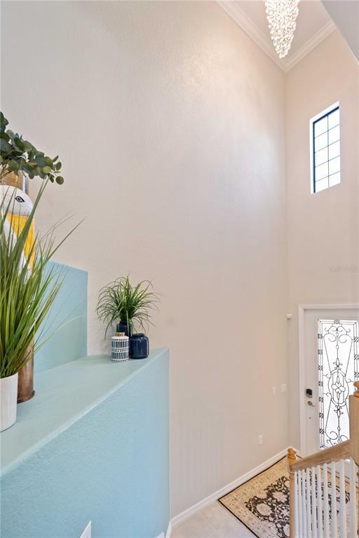 10817 Tarflower Dr in Venice, FL - Building Photo - Building Photo