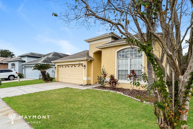 1128 Vinetree Dr in Brandon, FL - Building Photo - Building Photo