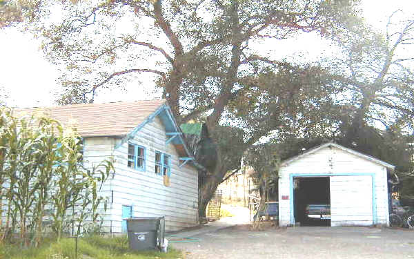 1825 Petaluma Blvd in Petaluma, CA - Foto de edificio - Building Photo