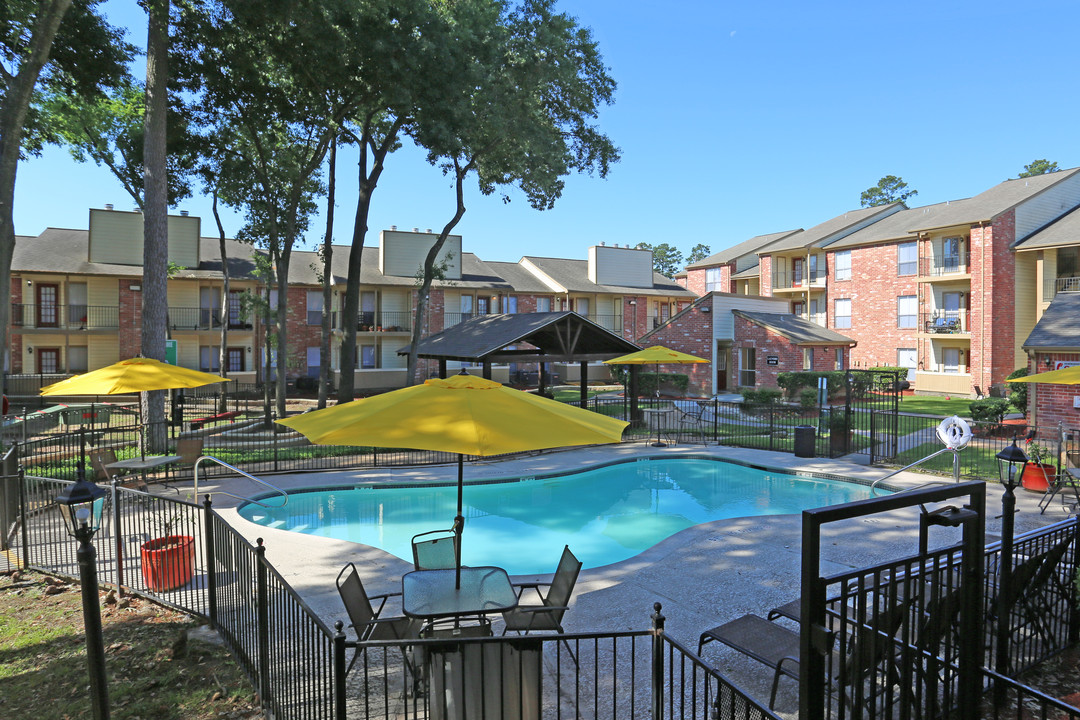 Park at Deerbrook Apartments in Humble, TX - Building Photo