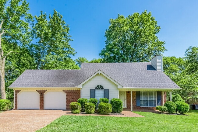 property at 317 Rosemary St
