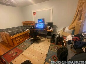 19 Netherlands Rd in Brookline, MA - Building Photo - Building Photo