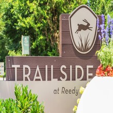 Trailside at Reedy Point in Greenville, SC - Building Photo - Building Photo