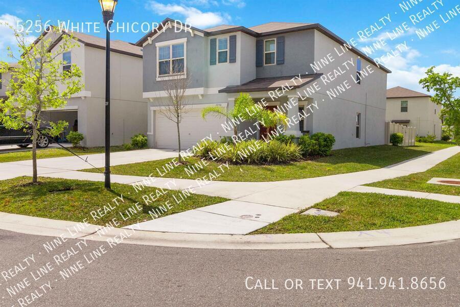5256 White Chicory Dr in Apollo Beach, FL - Building Photo