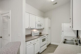 1113 Peace Pipe Pl in Myrtle Beach, SC - Building Photo - Building Photo