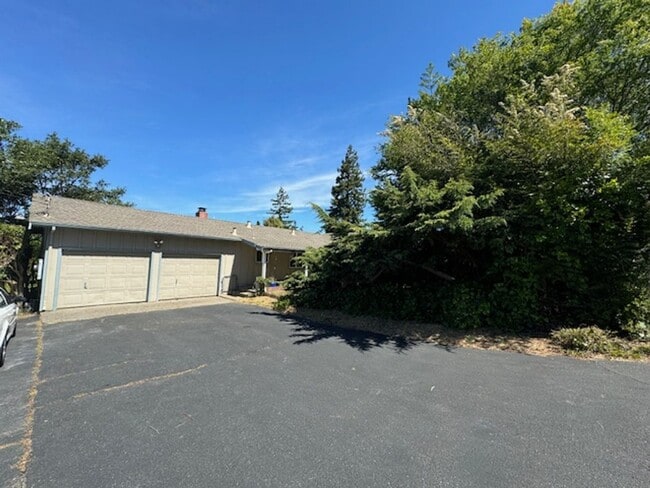 5560 McFarlane Rd in Sebastopol, CA - Building Photo - Building Photo