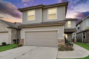 3730 Giorgio Pastel Pl in Katy, TX - Building Photo