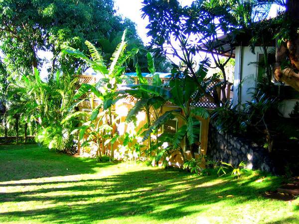 270 Auhana Rd in Kihei, HI - Building Photo - Building Photo