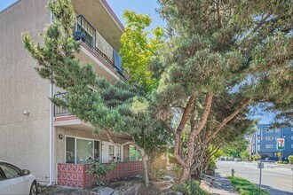 9020 20th Ave SW in Seattle, WA - Building Photo - Building Photo