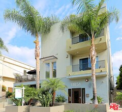 11851 Laurelwood Dr in Los Angeles, CA - Building Photo - Building Photo