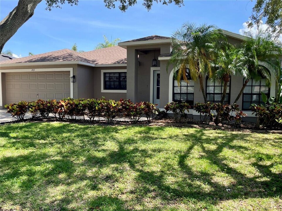 203 Lexington St in Oldsmar, FL - Building Photo