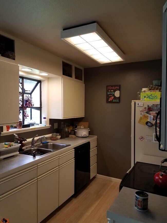 6401 Orbit Way in Fort Collins, CO - Building Photo - Building Photo
