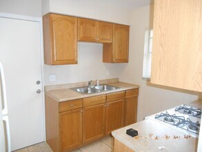 1641 Lucy Terry Ave in Apopka, FL - Building Photo - Building Photo