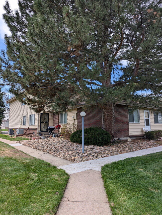 3355 S Flower St in Lakewood, CO - Foto de edificio - Building Photo